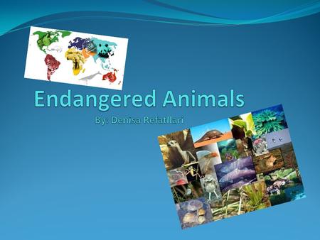 Endangered Animals There are lots of endangered animals out there. Some endangered animals are at risk of being extinct. There are plants, animals, and.