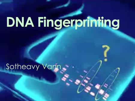 DNA Fingerprinting Sotheavy Vann. What is DNA Fingerprinting?  “The generation of a set of distinct DNA fragments from a single DNA sample”  Aka DNA.