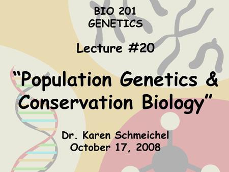 1 BIO 201 GENETICS Lecture #20 “Population Genetics & Conservation Biology” Dr. Karen Schmeichel October 17, 2008.