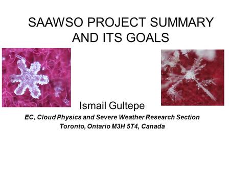 SAAWSO PROJECT SUMMARY AND ITS GOALS Ismail Gultepe EC, Cloud Physics and Severe Weather Research Section Toronto, Ontario M3H 5T4, Canada.