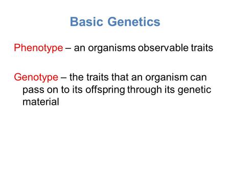 Basic Genetics Phenotype – an organisms observable traits Genotype – the traits that an organism can pass on to its offspring through its genetic material.