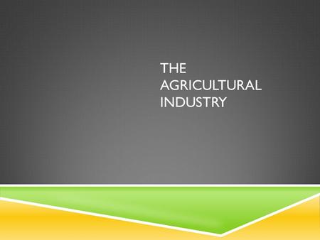 THE AGRICULTURAL INDUSTRY. INTRODUCTION  Agriculture can be looked at as a system. The important input are seeds, fertilisers, machinery and labour.