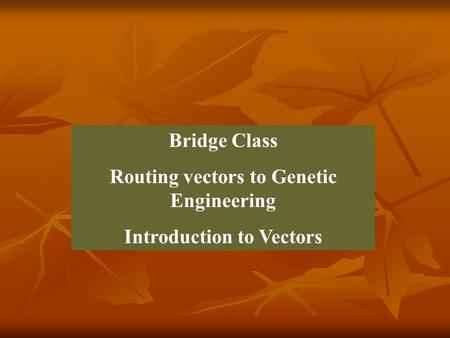 Bridge Class Routing vectors to Genetic Engineering Introduction to Vectors.