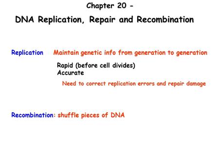 Replication Maintain genetic info from generation to generation Rapid (before cell divides) Accurate Need to correct replication errors and repair damage.