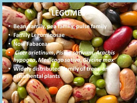 LEGUMES Bean family, pea family, pulse family Family Leguminosae