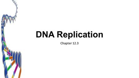 DNA Replication Chapter 12.3.