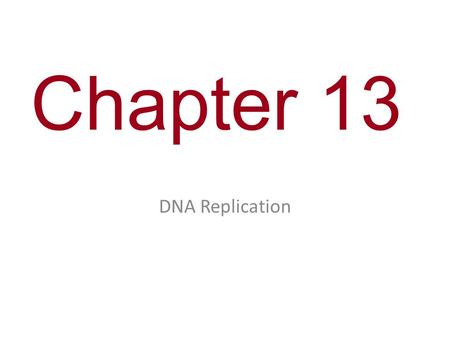 Chapter 13 DNA Replication.