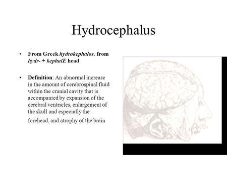 Hydrocephalus From Greek hydrokephalos, from hydr- + kephalE head