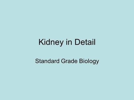 Kidney in Detail Standard Grade Biology. Excretion by the Kidney Urea -nitrogenous waste -made by liver -excess amino acids in blood -toxic Why must nitrogenous.