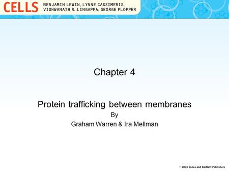 Protein trafficking between membranes By Graham Warren & Ira Mellman