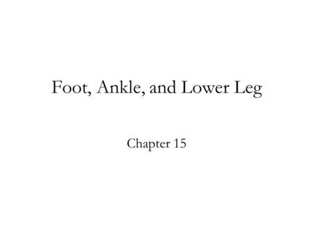 Foot, Ankle, and Lower Leg Chapter 15. The Foot The three major groups of bones are –Tarsals –Metatarsals –Phalanges A grand total of 28 bones in the.
