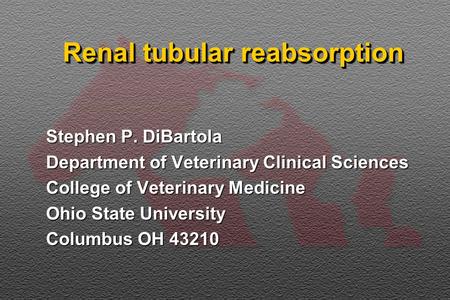 Renal tubular reabsorption Stephen P. DiBartola Department of Veterinary Clinical Sciences College of Veterinary Medicine Ohio State University Columbus.