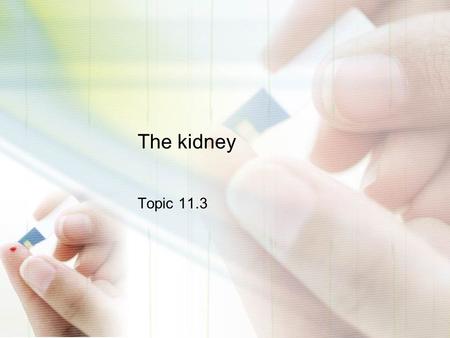 The kidney Topic 11.3.