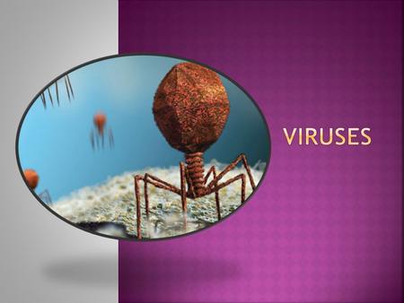  Virus = an infectious particle consisting of nucleic acid enclosed in a protein coat and, in some cases, a membranous envelope  NOT living (unable.