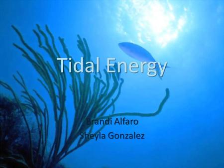Tidal Energy Brandi Alfaro Sheyla Gonzalez. How it Works Tides are created by the flowing of water due to the gravitational interaction between the moon,