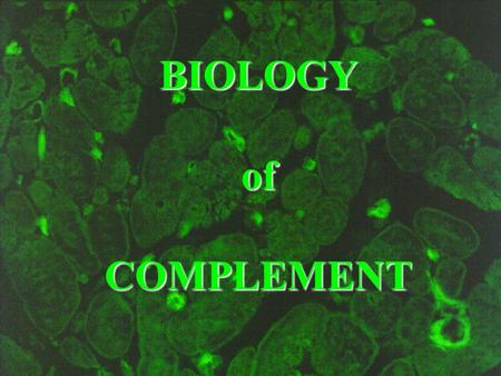 BIOLOGYofCOMPLEMENT. BIOLOGYDIAGNOSIS COMPLEMENT.