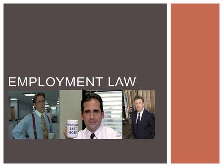 EMPLOYMENT LAW.  Describe the rights and responsibilities of employees and employers.  Identify federal, state, and local laws and agencies dealing.