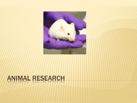 Animal Research.