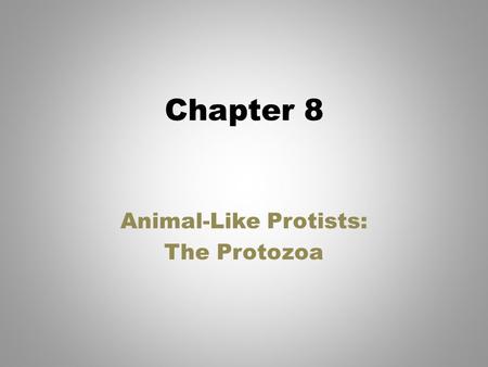Animal-Like Protists: The Protozoa