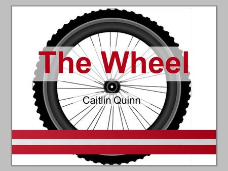 The Wheel Caitlin Quinn.