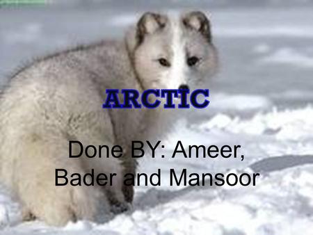 Done BY: Ameer, Bader and Mansoor. The Arctic Biomes Map.