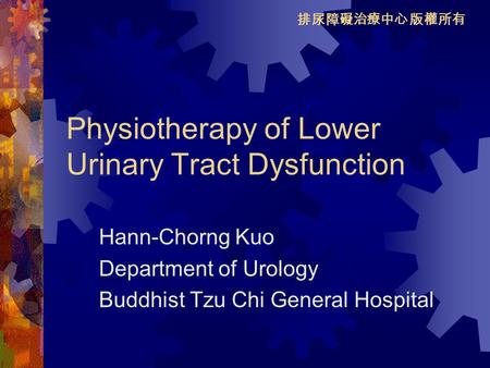 Physiotherapy of Lower Urinary Tract Dysfunction