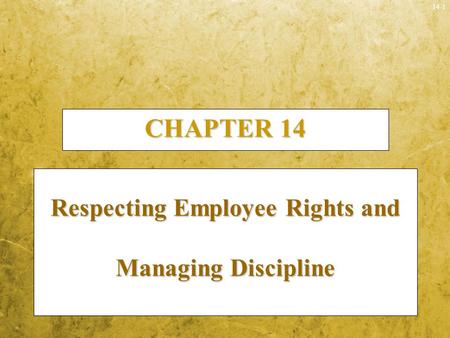 Respecting Employee Rights and Managing Discipline