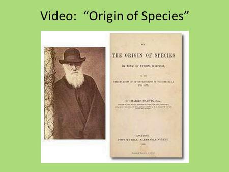 Video: “Origin of Species”. 1. How is evolution like a “tree of life?” All modern animals and plants came from common ancestors like different twigs on.