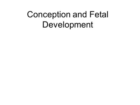 Conception and Fetal Development. Cellular Division Zygote – life begins as a single cell Mitosis – exact copies of the original Meiosis – development.