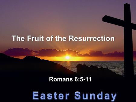 The Fruit of the Resurrection Romans 6:5-11. “Where sin increased, grace increased all the more!” Romans 5:20.