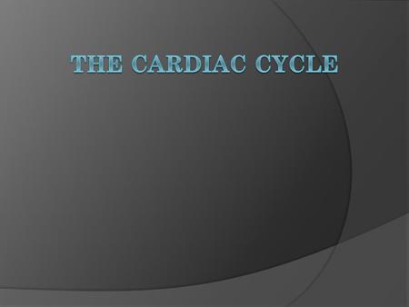 Cardiac Conduction System Sinoatrial (SA) node Atrioventricular (AV) node.