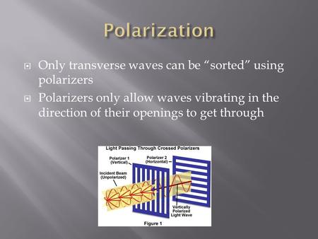  Only transverse waves can be “sorted” using polarizers  Polarizers only allow waves vibrating in the direction of their openings to get through.