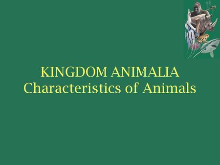 KINGDOM ANIMALIA Characteristics of Animals. Seven Levels of Taxonomic Classification Kingdom Phylum Class Order Family Genus Species.