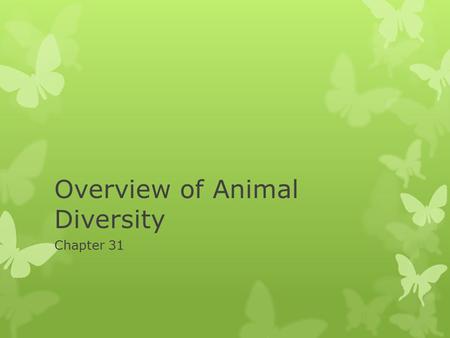 Overview of Animal Diversity Chapter 31. Quick 9 minute Overview I will explain in detail as the presentation goes on