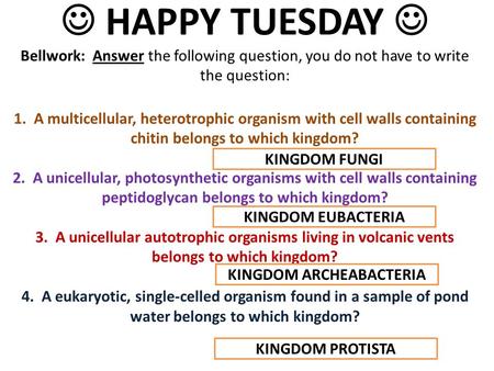 HAPPY TUESDAY Bellwork: Answer the following question, you do not have to write the question: 1. A multicellular, heterotrophic organism with cell walls.