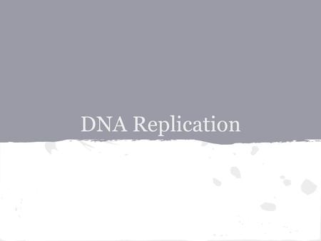 DNA Replication. Cell Division and DNA Replication Cells divide -->Growth, Repair, Replacement Before cells divide they have to double cell structures,