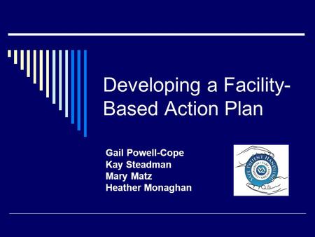 Developing a Facility- Based Action Plan Gail Powell-Cope Kay Steadman Mary Matz Heather Monaghan.