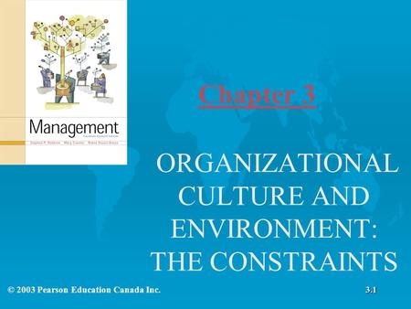ORGANIZATIONAL CULTURE AND ENVIRONMENT: THE CONSTRAINTS