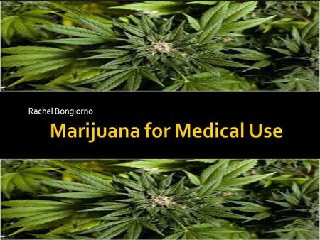 Rachel Bongiorno.  The use of cannabis at least as a fiber dates back approximately 10,000 years ago in Taiwan  Evidence of cannabis being inhaled dates.