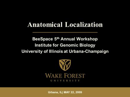Urbana, IL| MAY 22, 2009 Anatomical Localization BeeSpace 5 th Annual Workshop Institute for Genomic Biology University of Illinois at Urbana-Champaign.