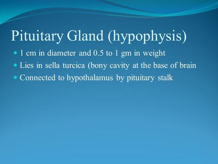 Pituitary Gland (hypophysis) 1 cm in diameter and 0.5 to 1 gm in weight Lies in sella turcica (bony cavity at the base of brain Connected to hypothalamus.