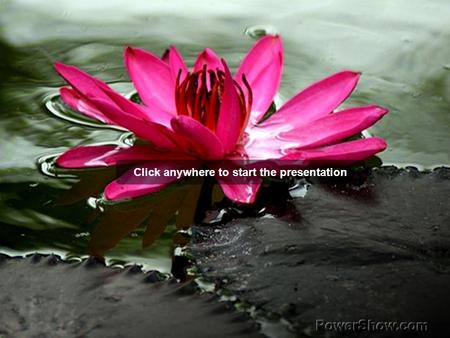 Click anywhere to start the presentation Life is Beautiful, Live it to the fullest Life is Beautiful, Live it to the fullest.