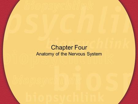 Chapter Four Anatomy of the Nervous System