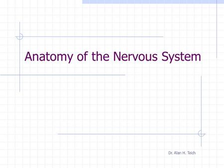 Anatomy of the Nervous System Dr. Alan H. Teich.