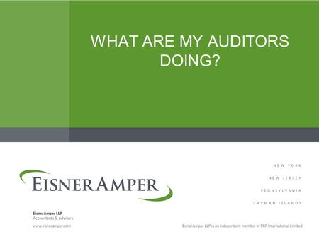 WHAT ARE MY AUDITORS DOING?. Your Presenter Dianne Batistoni, CPA –EisnerAmper Insurance Group Audit Partner – Bridgewater, NJ –908-218-5002, ext. 2239.