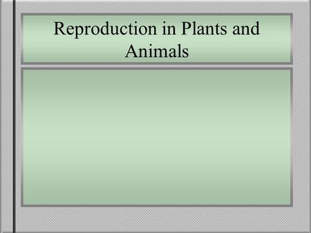Reproduction in Plants and Animals. Plants: Sexual Reproduction Sexual Reproduction in Plants 1. Flower = reproductive organ, makes gametes (sperm and.