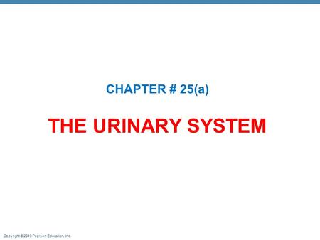 CHAPTER # 25(a) THE URINARY SYSTEM.