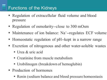Functions of the Kidneys  Regulation of extracellular fluid volume and blood pressure  Regulation of osmolarity--close to 300 mOsm  Maintenance of ion.