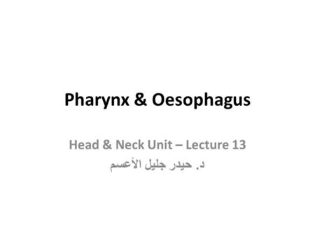 Head & Neck Unit – Lecture 13 د. حيدر جليل الأعسم