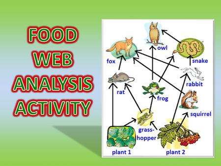 FOOD WEB ANALYSIS ACTIVITY.
